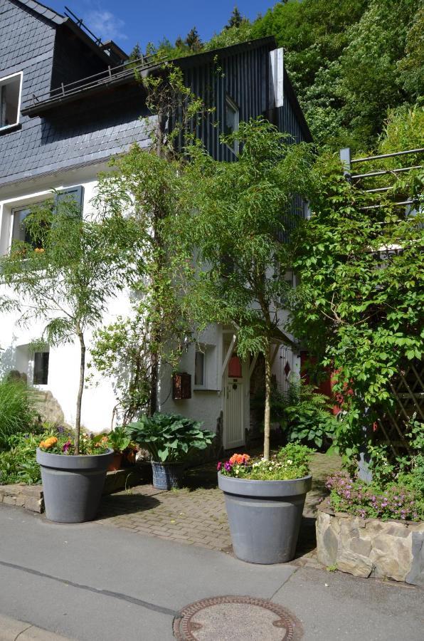 Birgits Landhaus Willingen 维林根 外观 照片