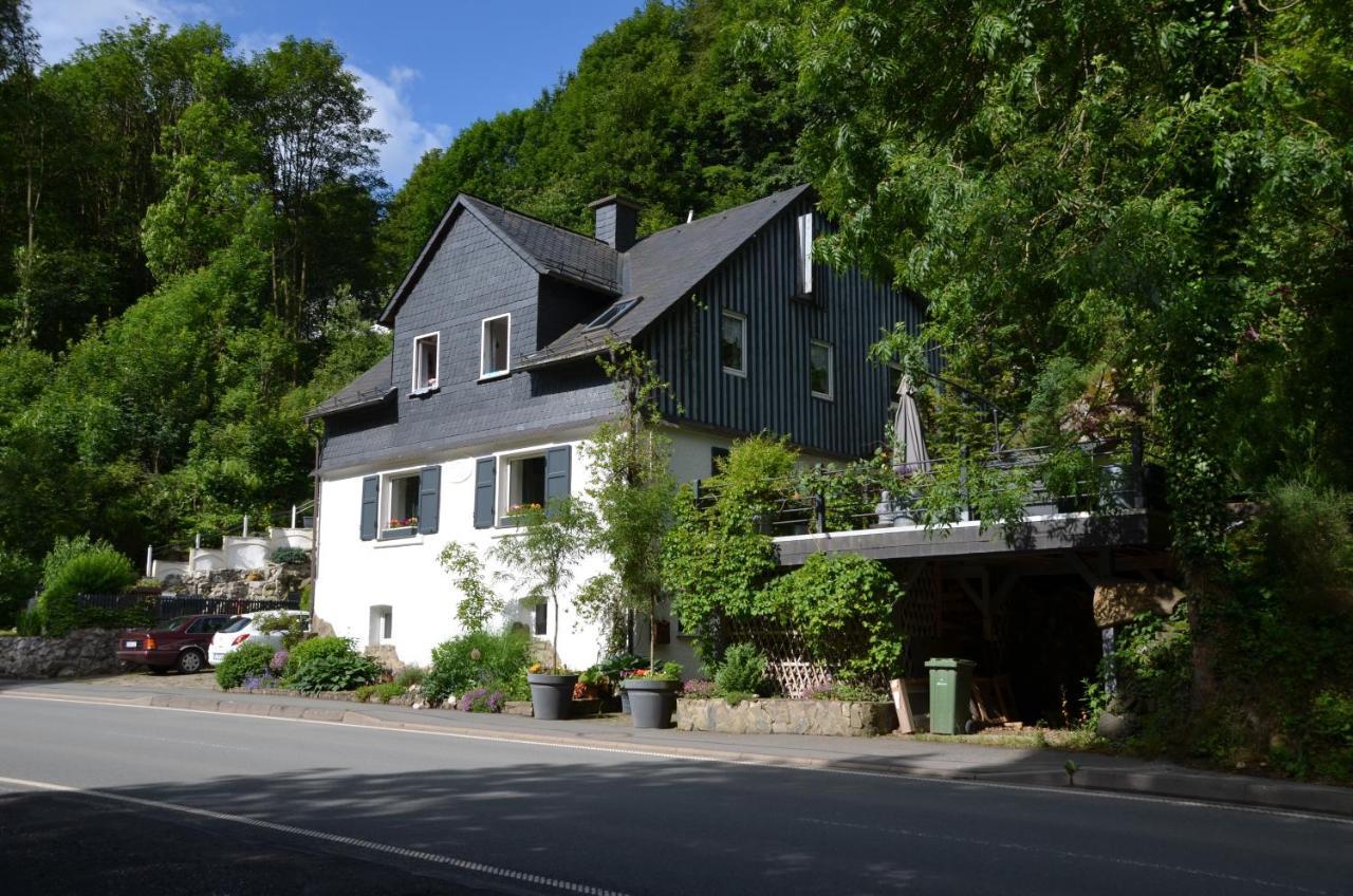 Birgits Landhaus Willingen 维林根 外观 照片