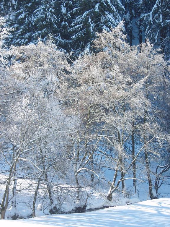 Birgits Landhaus Willingen 维林根 外观 照片